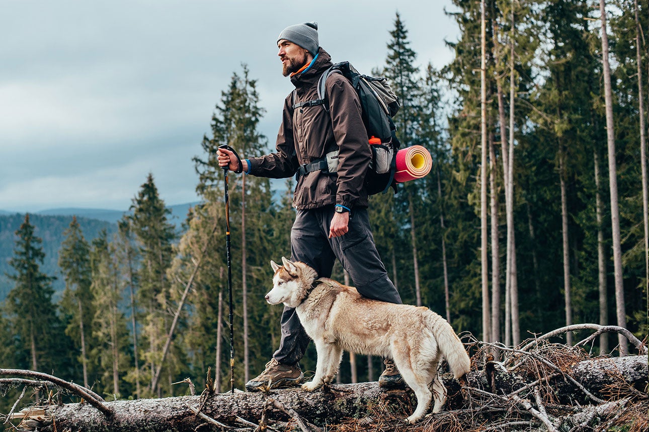 Man backpacking in the woods with his brown husky dog